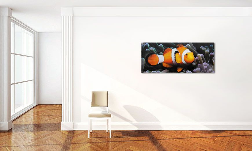 Nemo the Clown 120x50cm Canvas
