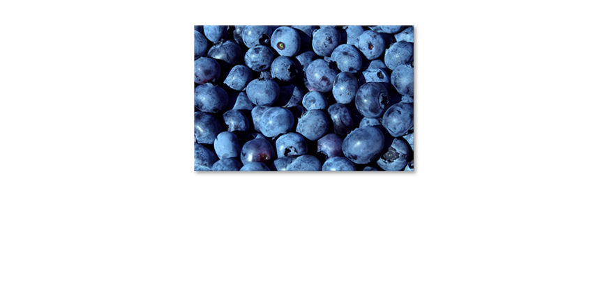 Blueberries-wandpaneel