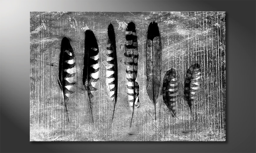 Canvaskunst-Monochrome-Feathers