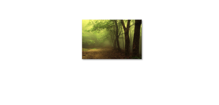 De-exclusieve-kunstdruk-Green-Forest-90x60-cm