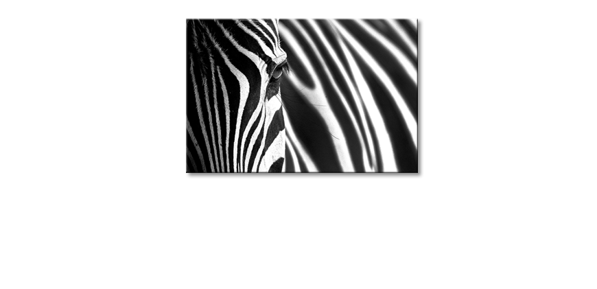 Fine-Art-print-Animal-Stripes