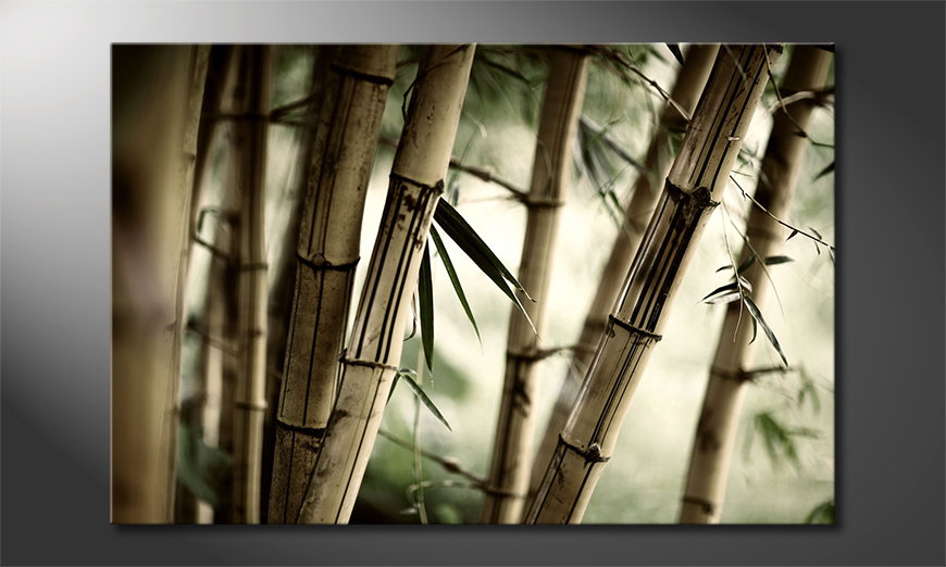 Fine-Art-print-Bamboo-Forest-60x40-cm
