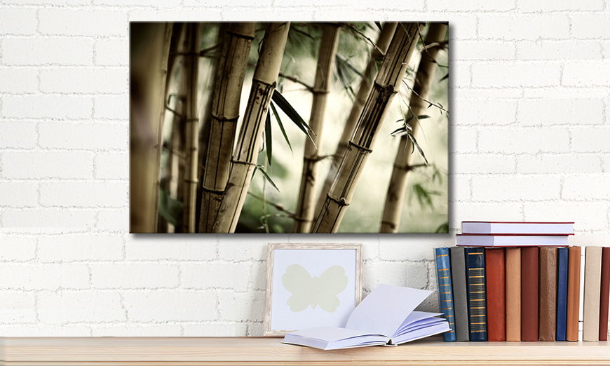 Fine Art print Bamboo Forest 60x40 cm