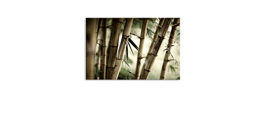 Fine-Art-print-Bamboo-Forest-60x40-cm