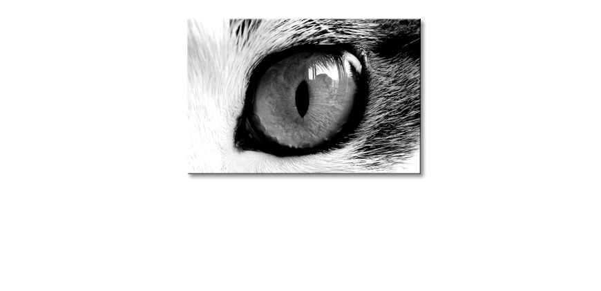 Fine-Art-print-Cats-Eye