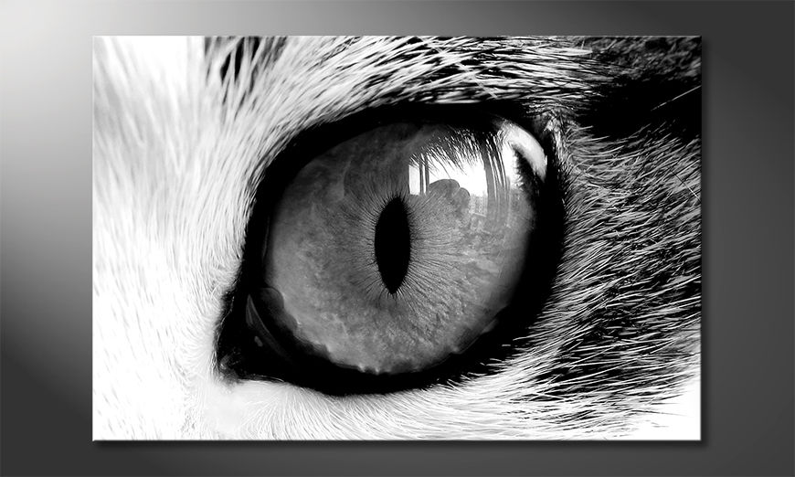 Fine-Art print Cats Eye