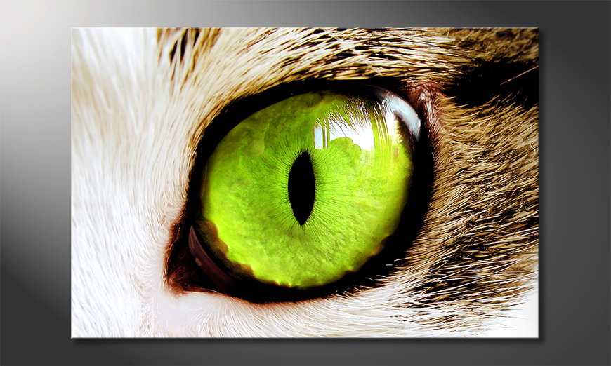 Fine-Art-print-Cats-Eye