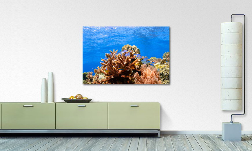 Fine Art print Corals Reef