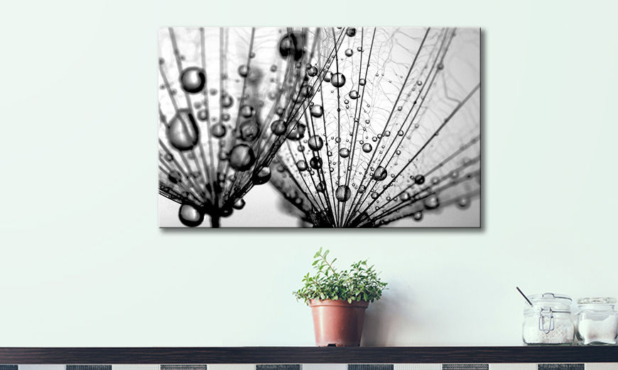 Fine Art print Dandelion Seeds 80x50 cm