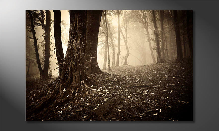 Fine-Art-print-Enchanted-Forest