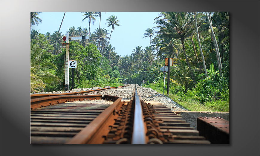 Fine-Art print Srilankan Rails