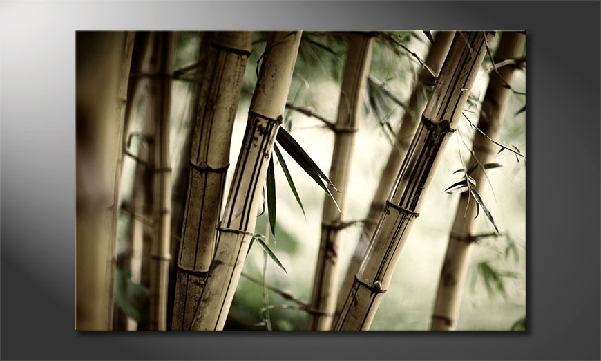 Het-foto-canvas-Bamboo-Forest