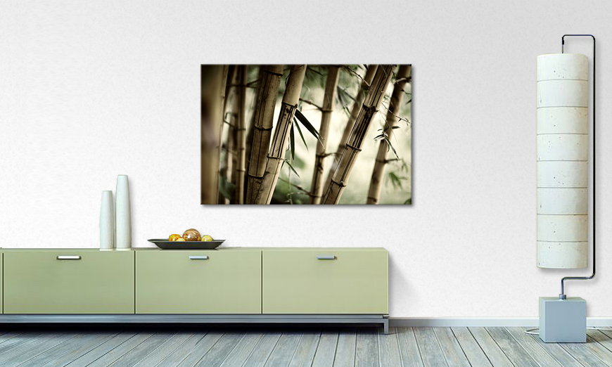 Het foto canvas Bamboo Forest