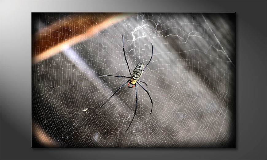 Het foto canvas Beautiful Spider