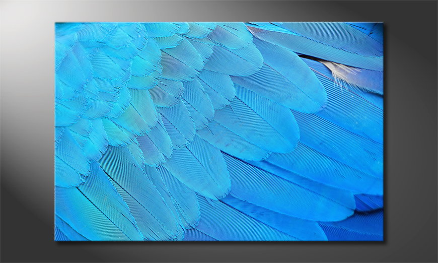 Het-foto-canvas-Bird-Feathers