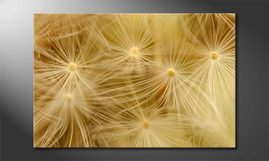 Het-foto-canvas-Dandelion-Closeup
