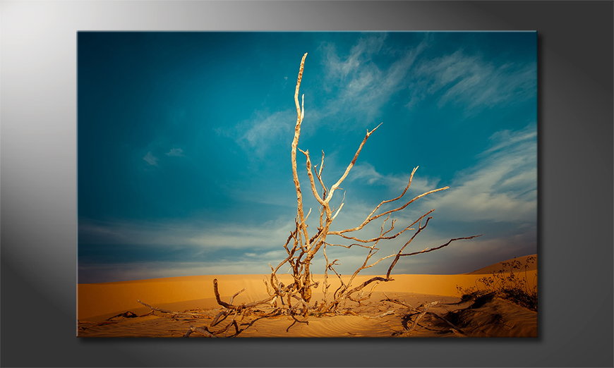 Het-foto-canvas-Desert-Landscape