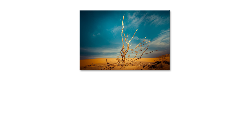 Het-foto-canvas-Desert-Landscape