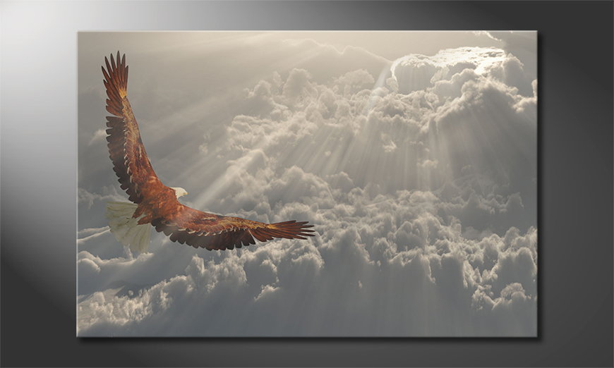 Het-foto-canvas-Eagle-Flight