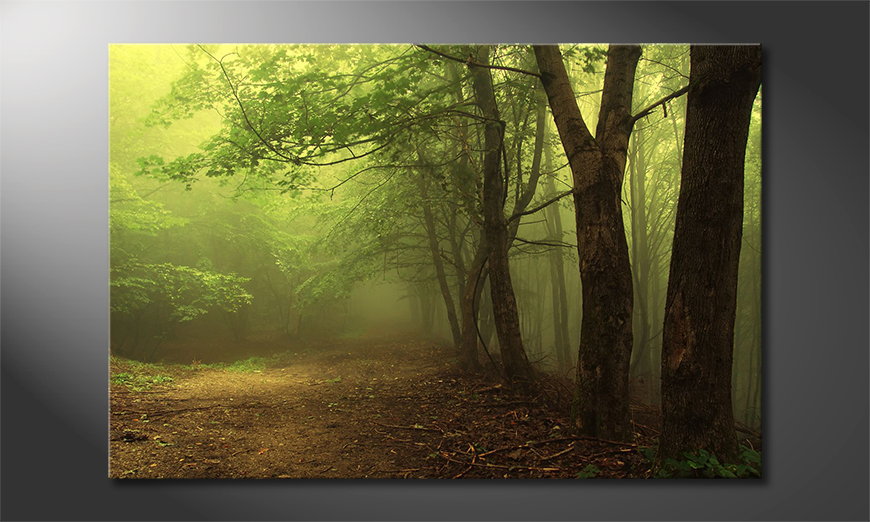 Het-foto-canvas-Green-Forest