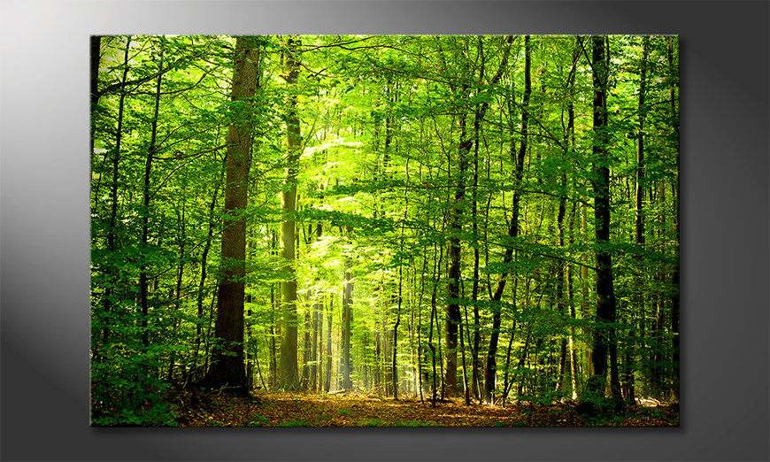 Het foto canvas Into the Forest