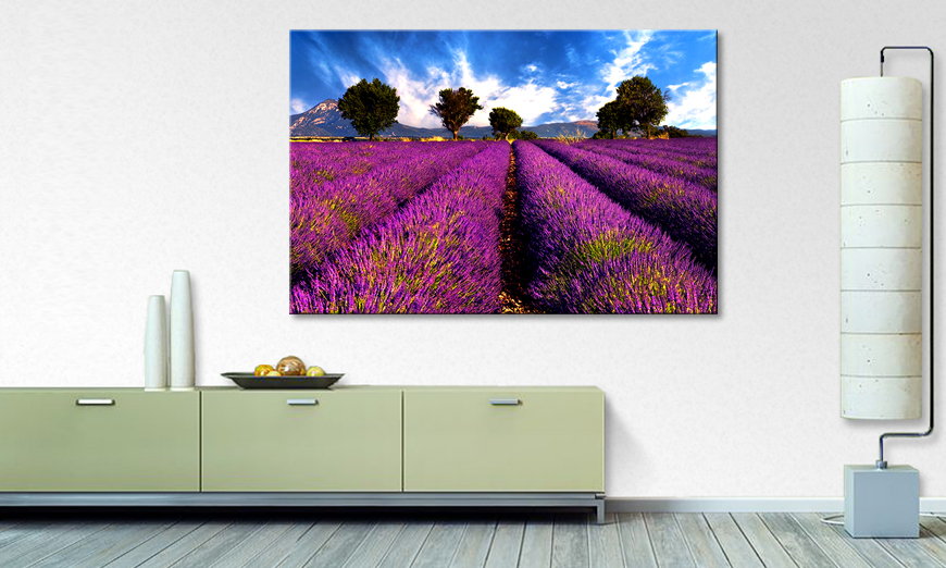 Het foto canvas Lavender