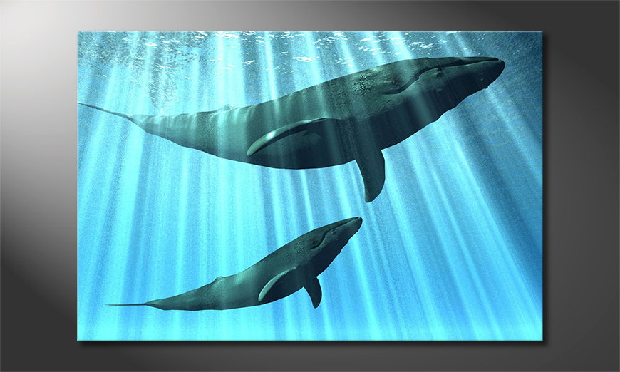 Het-foto-canvas-Whales