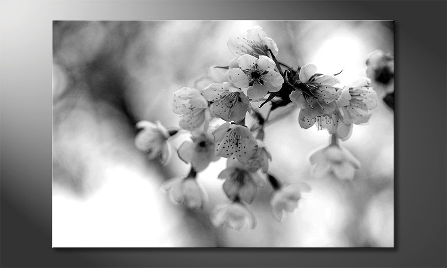 Het-gedrukte-beeld-Cherry-Blossoms