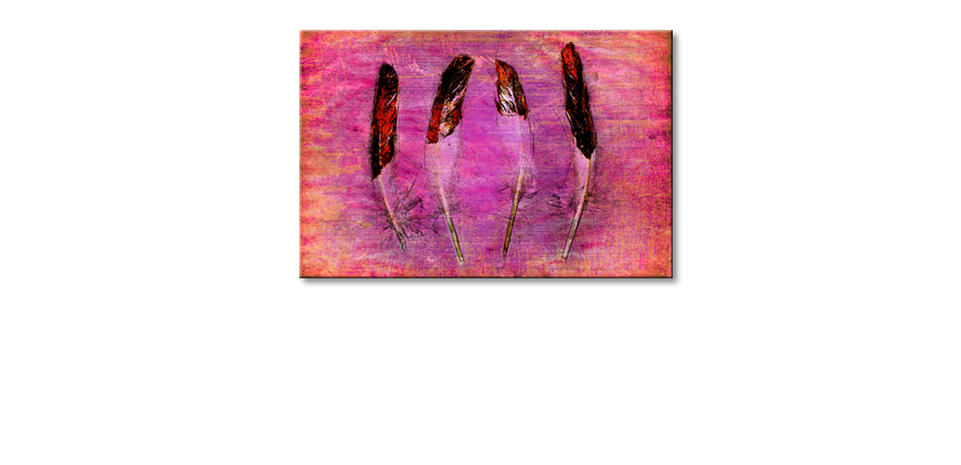 Het-gedrukte-beeld-Feathers-and-Pink