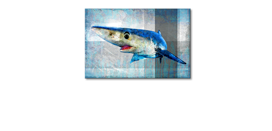 Het-gedrukte-beeld-Mr-Shark