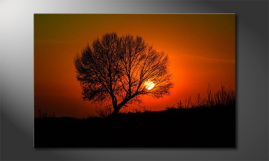 Het-gedrukte-beeld-Red-Sunset