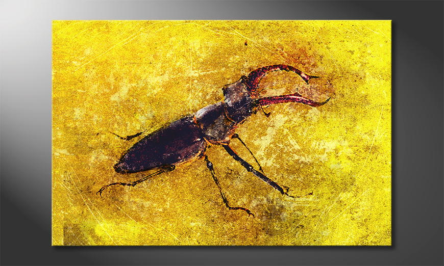Het-gedrukte-beeld-Stag-Beetle