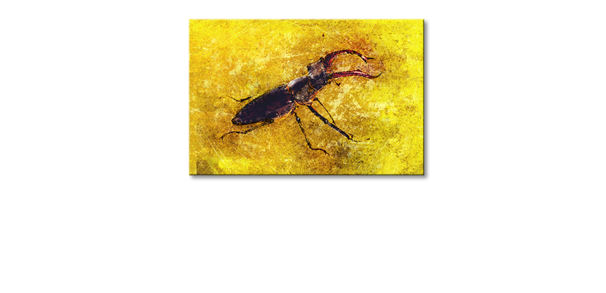 Het-gedrukte-beeld-Stag-Beetle