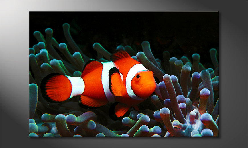 Het-moderne-Canvas-Nemo