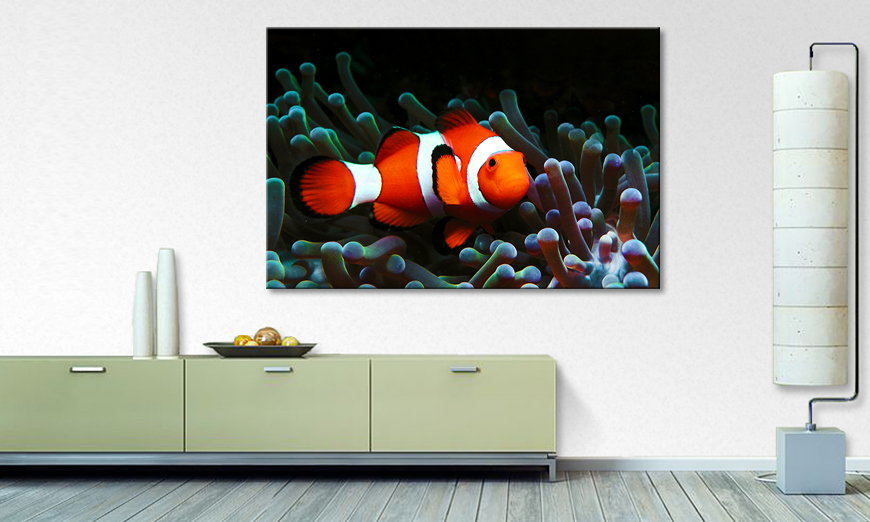 Het moderne Canvas Nemo