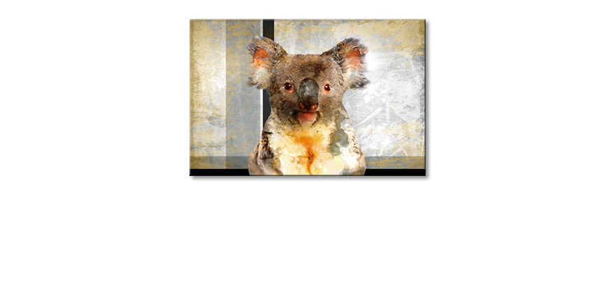 Het-moderne-beeld-Chill-Koala