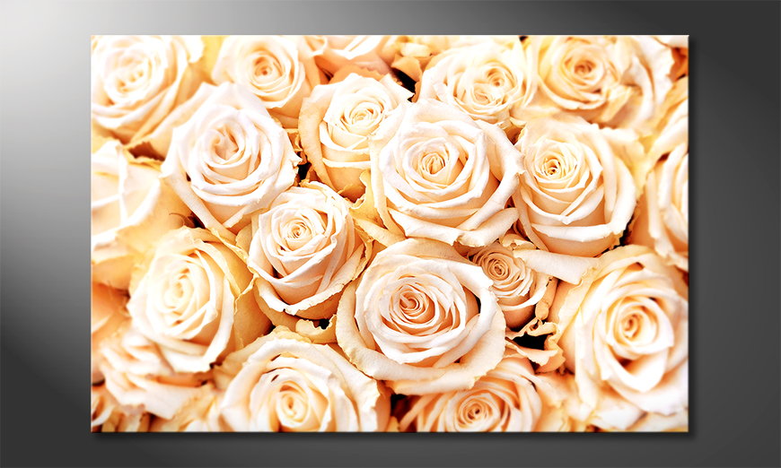 Het-moderne-beeld-Creamy-Roses