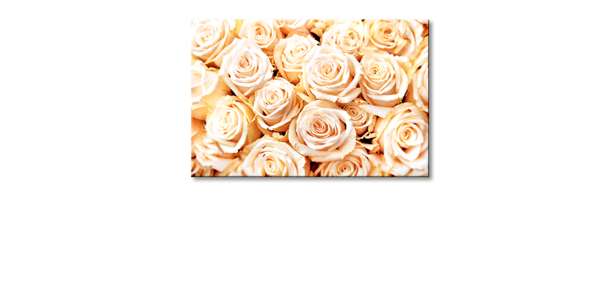 Het-moderne-beeld-Creamy-Roses