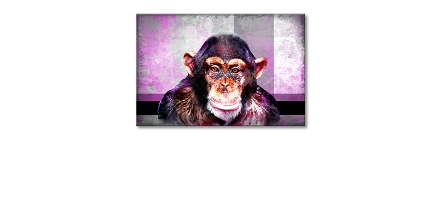 Het-moderne-beeld-Mr-Monkey