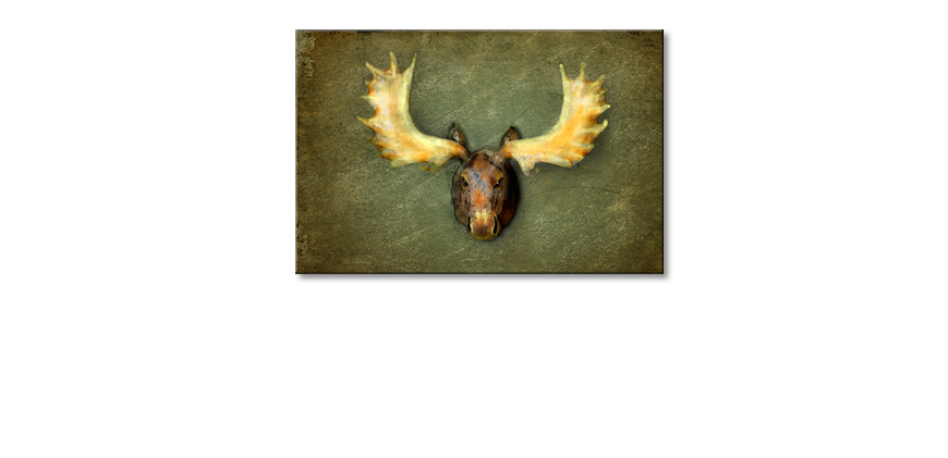 Het-moderne-beeld-The-Elk