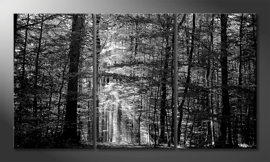 Modern-canvas-afdrukken-Into-the-Forest-180x100-cm