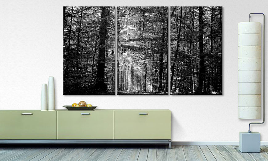 Modern canvas afdrukken Into the Forest 180x100 cm