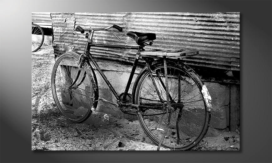 Modern-decor-Old-Bike
