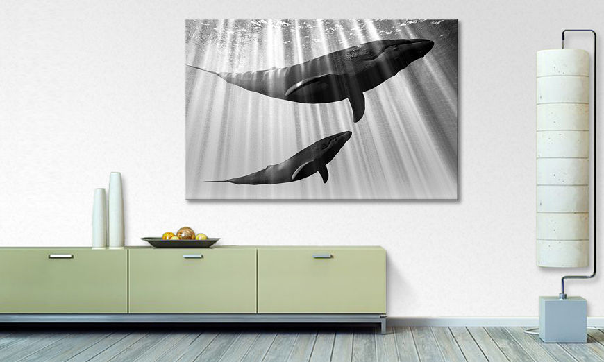 Modern decor Whales