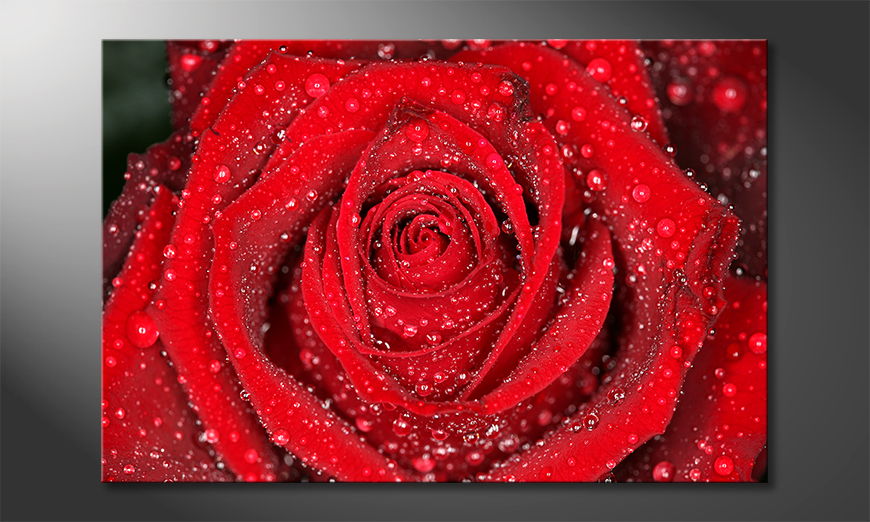 Modern wandpaneel Morning Rose