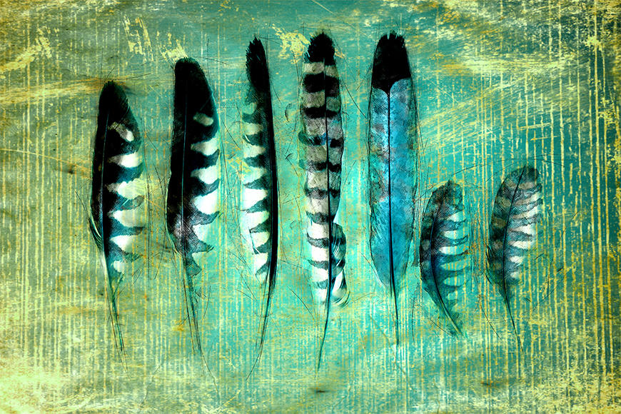 Vlies foto behang Blue Feathers