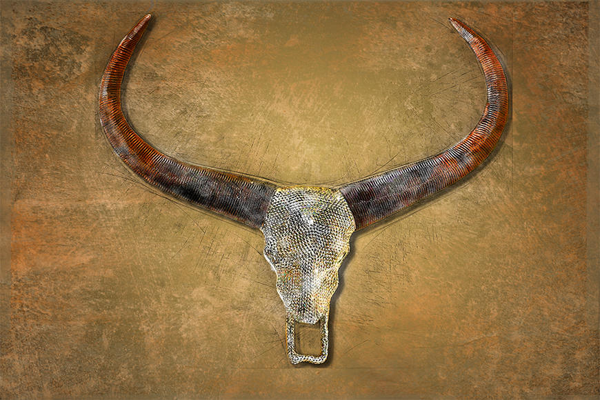 Vlies fotobehang Bull Skull