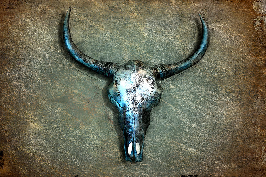 Vliesbehang Buffalo Skull