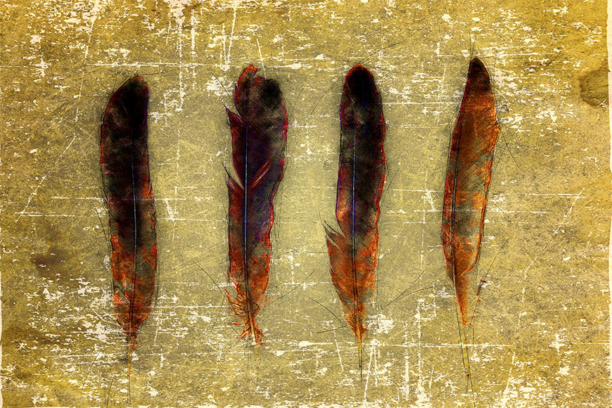 Vliesbehang Four Feathers